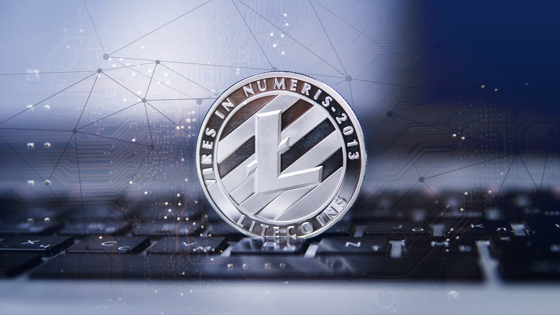 What to know before investing in litecoin перевести доги в биткоины